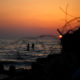 jalur gaza