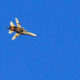 Jet Tempur Suriah