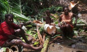 Kesaksian Papua: Jangan Rusak Hutan Adat Kami, Indonesia!