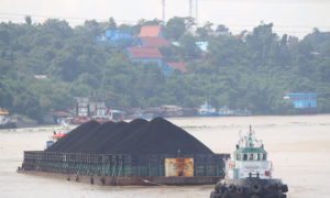Batu bara yang ditambang di Kalimantan Timur diangkut oleh kapal tongkang sungai. Hampir setengah dari produksi batu bara Indonesia berasal dari provinsi ini. (Foto: Mongabay-Indonesia/Tommy Apriando)