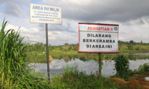 Menjelang Pilkada 2018, Aktivis Lingkungan Bersiap Hadapi Aksi Suap dan Jual Lahan