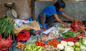 WTO Tolak Pembatasan Ekspor Indonesia, Amerika Menangkan Sengketa Perdagangan Pangan
