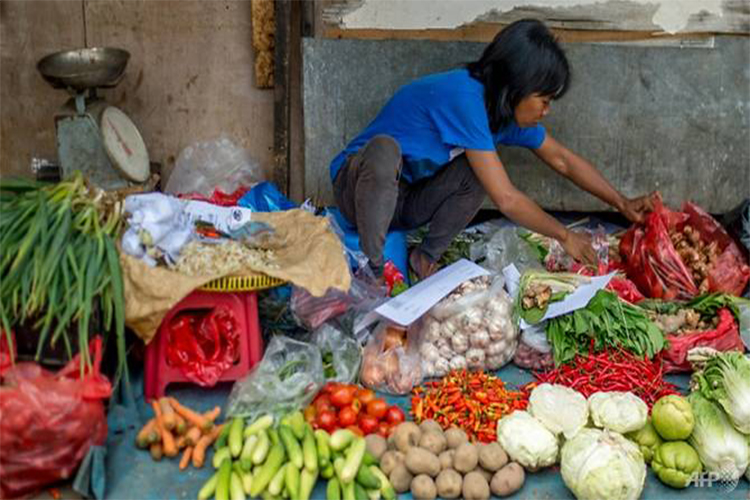 WTO Tolak Pembatasan Ekspor Indonesia, Amerika Menangkan Sengketa Perdagangan Pangan