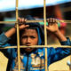 Genosida Rohingya