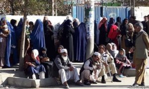 pemilu afghanistan