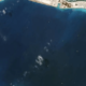 Laut China Selatan