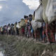 Nelayan Aceh Selamatkan Kapal Pengungsi Rohingya yang Terdampar