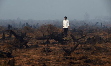 Kebakaran Hutan dan Kabut Asap