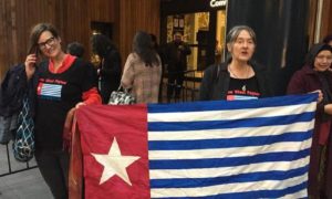 Atas Dasar HAM, Kemerdekaan Papua Dapat Dukungan Dalam dan Luar Negeri