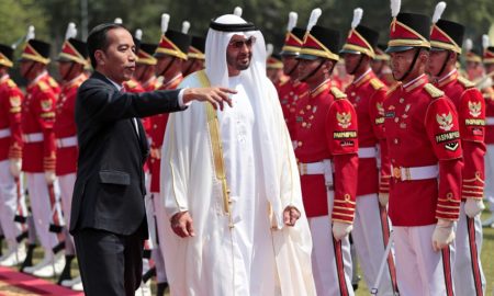 Akankah UEA dan Jepang Bantu Jokowi Wujudkan Ibu Kota Baru Indonesia?