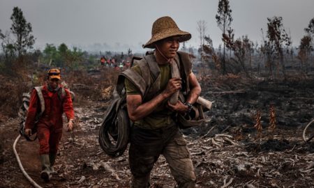 Tragedi Karhutla dan Hancurnya Hutan Indonesia oleh Industri Kayu Pulp
