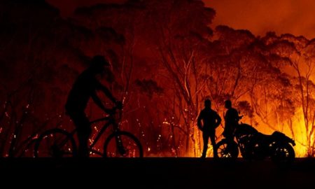 [Berita Foto] Kebakaran Australia yang Menghancurkan Kehidupan Warga dan Satwa Liar