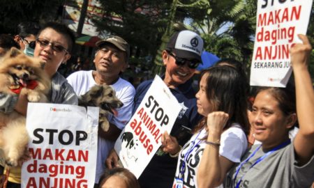 Gubernur Jateng: Anjing Bukan untuk Dimakan