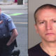 Fakta Derek Chauvin, Polisi Pembunuh George Floyd