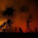 Area Kebakaran Hutan Indonesia Lebih Besar dari Negara Belanda