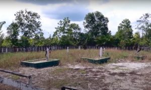 Kuburan Massal Perang Sampit