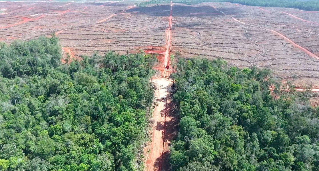 Perusahaan Sawit